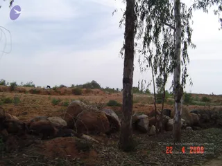 April 23 2006