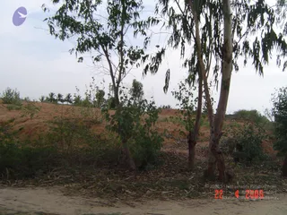 April 23 2006