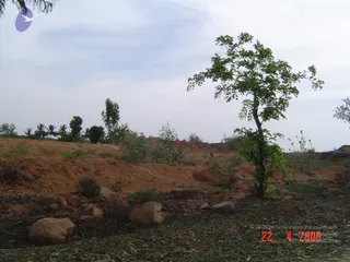 April 23 2006
