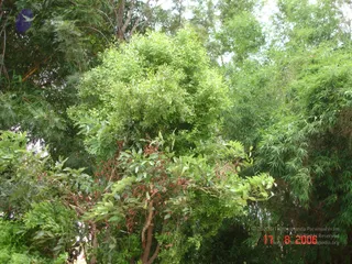 DSC00067_CMP_WM