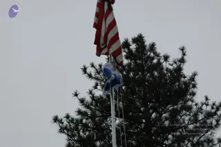 DSC_0219_CMP_WM