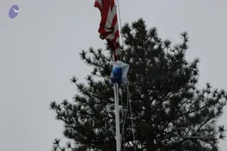 DSC_0220_CMP_WM