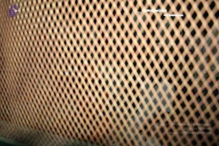 IMG_5148_CMP_WM