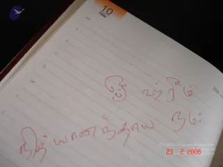 February 23 2006