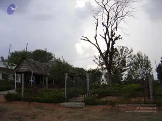 May 05 2006