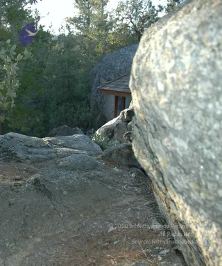 May 05 2006