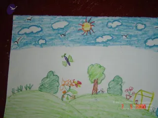 May 07 2006