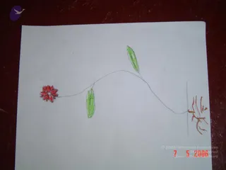 DSC02611_CMP_WM