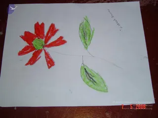 DSC02617_CMP_WM