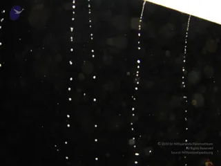 DSC04595_CMP_WM