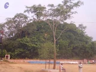P3200019_CMP_WM