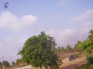 P3200025_CMP_WM