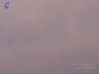 P3200050_CMP_WM