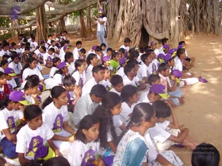 P3200061_CMP_WM