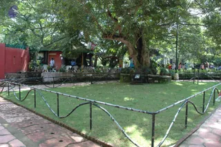 DSC_1683_CMP_WM