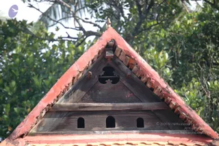 DSC_1531_CMP_WM
