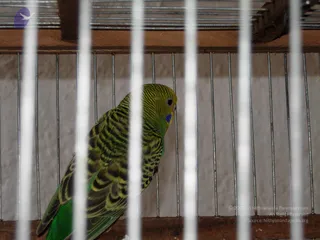 October 09 2006