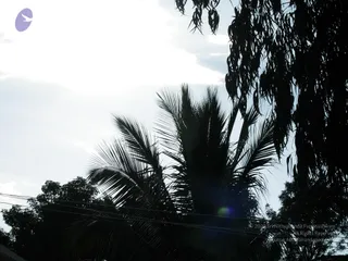 DSCN0510_CMP_WM