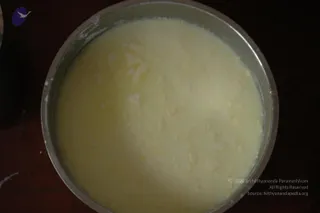 DSC_4391_CMP_WM