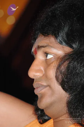 DSC_4550_CMP_WM