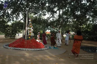 Outdoor photo beneath a large spreading banyan tree at an ashram grounds. A red mound of offerings sits on a circular platform edged with black-and-white dotted stone, topped by a silver figure garlanded with red, yellow and white flowers. A woman in a maroon sari and another in a red-brown sari stand near. A man in white dhoti and white shirt with a shaved head stands at a small brass lamp on a blue cloth. A cameraman in white films, and a figure in orange robes with long dark hair stands at the right edge, facing the scene.