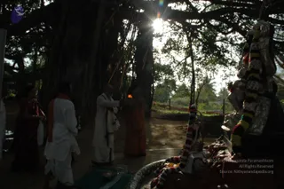 Outdoor photo beneath a large banyan tree with aerial roots, backlit by low sun. A bald man in white dhoti and shawl stands center, holding a lit oil lamp or flame toward a woman in an orange sari, who holds a small flame in her hands. To the left, a woman in a maroon sari and a man in white kurta with an orange shawl stand near the edge of the frame. At right, a stone lingam or deity murti is draped with garlands of red, white and yellow flowers and metal ornaments, set in a circular stone base with offerings. The scene suggests a ritual puja at the tree.