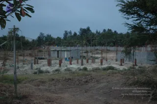 A photograph of an unfinished construction site at dusk under a grey-blue sky. Rows of rebar columns rise from sandy ground, with partially built grey block walls and a small single-storey building with a window and door. A concrete boundary wall runs behind, with dense green palm and tree foliage beyond. Dirt tracks, sparse grass and a utility pole with a wire sit in the foreground, and a leafy branch frames the upper left corner. No people are visible.