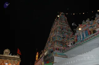 DSC_2796_CMP_WM