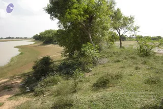 2006-View-of-Kanchipuram-land