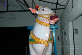 DSC_1238_CMP_WM