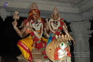 DSC_1436_CMP_WM