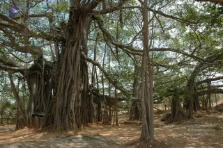 April 20 2007