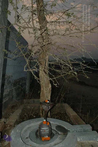 April 20 2007