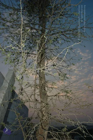 April 20 2007