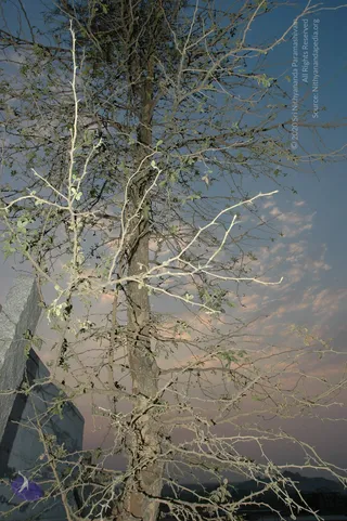 April 20 2007