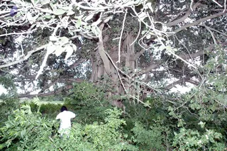 20070811_DSC_111001
