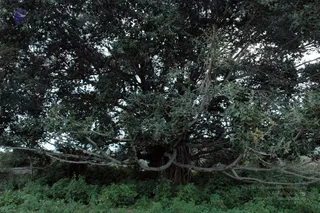 20070811_DSC_114001