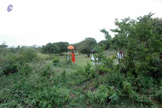 20070811_DSC_114901