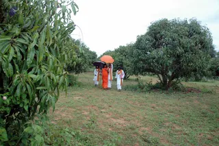 20070811_DSC_120701