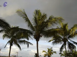 20070826_Photo_29_1cTMk45k2n3R6ohAaJBKHcySNOP4nOtZV