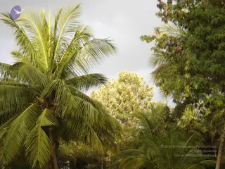 20070826_Photo_35_1nq9UhmrMaZkm2LNCKsBTW794QqiiSPEQ