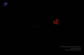 DSC_4910_CMP_WM