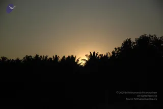February 07 2007