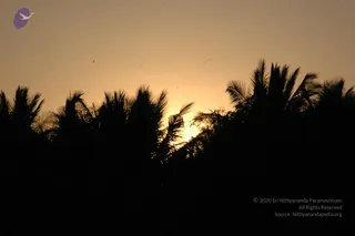 February 07 2007