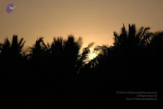 February 07 2007