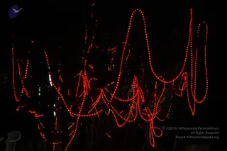 February 07 2007