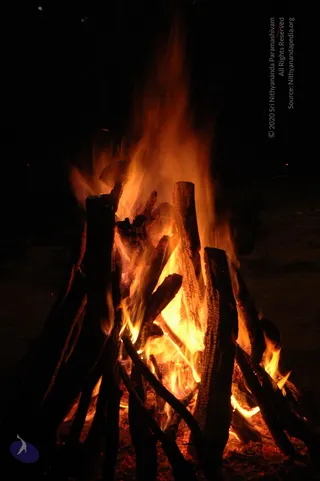 DSC_5684_CMP_WM