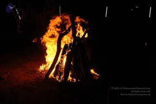 DSC_6588_CMP_WM