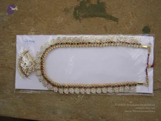 2007-GLIMPSES-OF-NITHYANANDESHWARA-PARAMASHIVA-AND-DEVI-PARASHAKTHI
