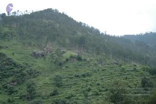 2007-Glimpses-of-the-Himalaya-Yatra